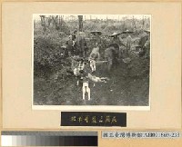 藏品(緬北戰鬥：被我軍擊斃之敵屍)的圖片